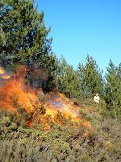 Fire Warning Issued At Start Of Sunny Week In Fairfield