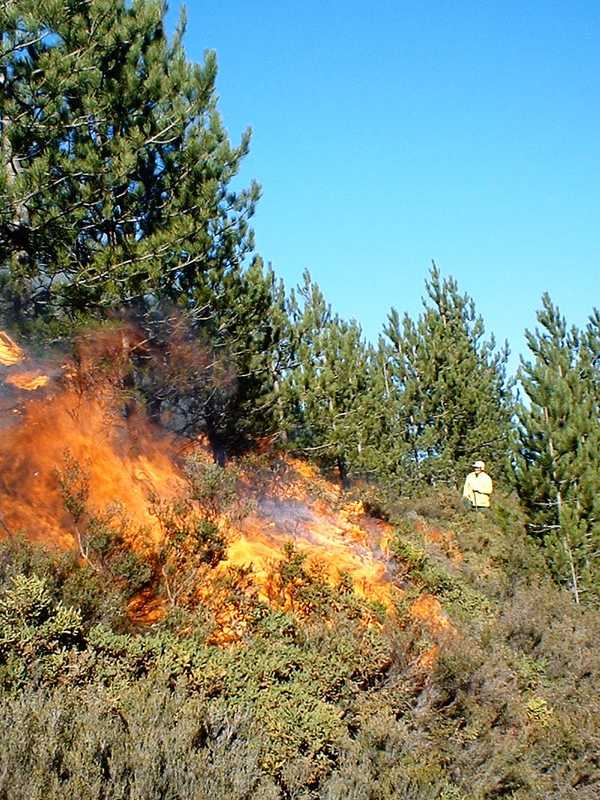 Fire Warning Issued At Start Of Sunny Week In Fairfield