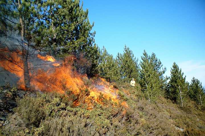 A fire warning has been issued for Fairfield County through Wednesday.