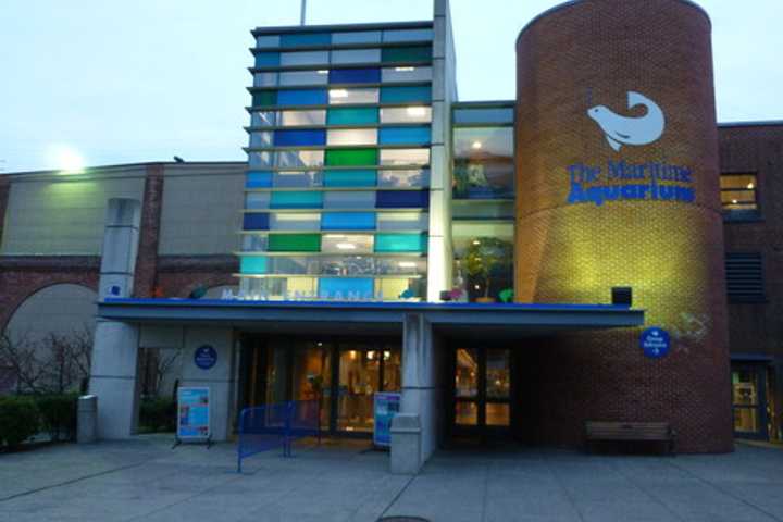 Norwalk's Maritime Aquarium Offers Discount For Veterans