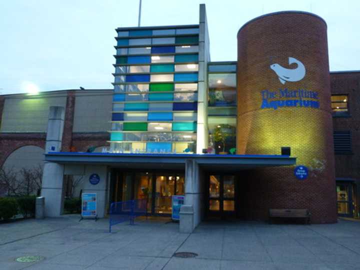 Norwalk&#x27;s Maritime Aquarium