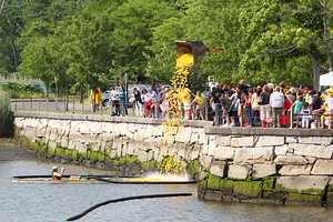 Westport Sunrise Rotary Duck Race Coming To Jesup Green