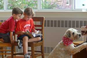 Kids To Boost Skills, Confidence At Paws For Reading