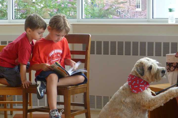 Kids To Boost Skills, Confidence At Paws For Reading