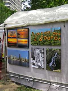 54th Annual White Plains Arts Festival To Aid Scholarship Program