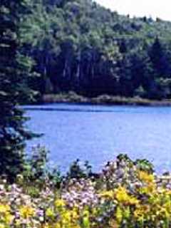 Nature, Food Events Coming To Westchester County Parks