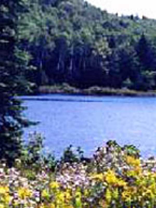 Nature, Food Events Coming To Westchester County Parks