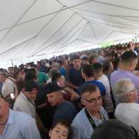 <p>Hundreds of visitors to the Albanian Festival crowded under a tent to escape the rain on Sunday at Kensico Dam Plaza.</p>