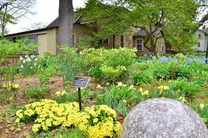 NY Times Profiles Country Living In North Stamford 