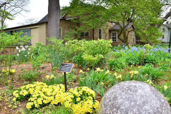 NY Times Profiles Country Living In North Stamford 