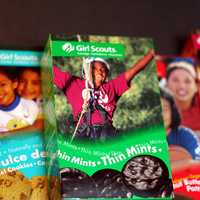 <p>Girl Scouts Heart of the Hudson donated 90,000 boxes of Girl Scout Cookies to armed forces members</p>