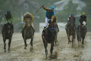 Bedford Watches As American Pharoah Runs For Triple Crown