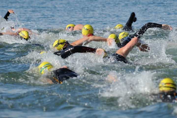 Registration Open For Greenwich-Stamford Swim Across America