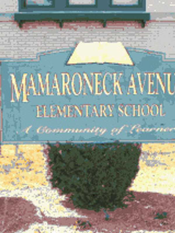 Mamaroneck Ave. Ranked Among State's Best Elementary Schools