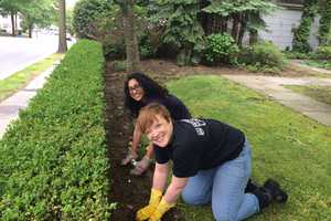 Berkeley College Volunteers In White Plains For Community Service Day
