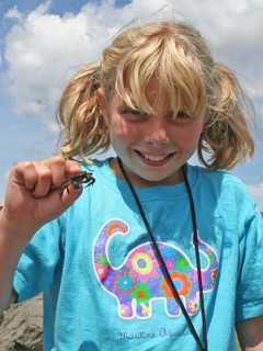 Norwalk Aquarium Schedules Kids Summer Camp Programs