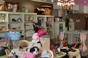 Furrylicious Pet Salon Celebrates Year Anniversary In Scarsdale