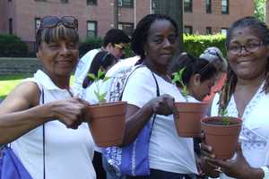 Port Chester Health Project Unveils Plan For Community Garden
