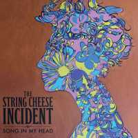 <p>The String Cheese Incident </p>