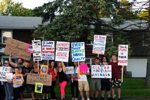 Circus Draws Crowd Of Protesters In Verplanck