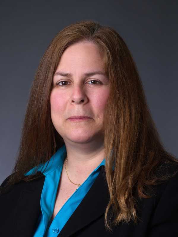 Denise Stefano Of Dobbs Ferry's Mercy College Elected To State CPA Board
