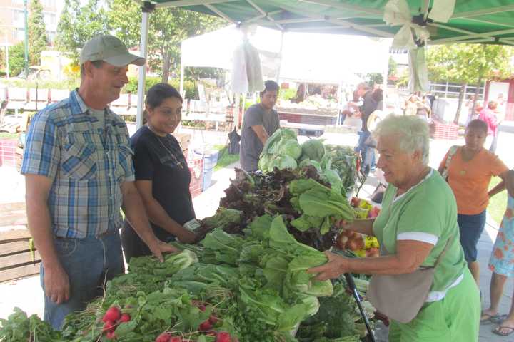 The New Rochelle farmers market continues Friday on the New Rochelle Public Library green.