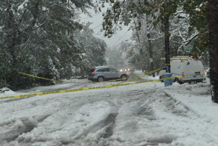 Trees and high winds can bring down power lines causing power outages.