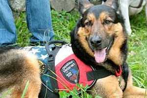 Stamford Elks Host Fundraiser Saturday For Veterans
