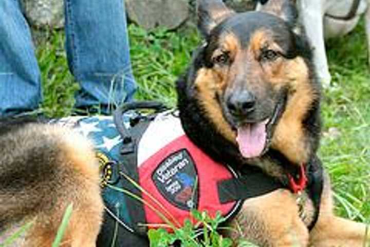 Stamford Elks Host Fundraiser Saturday For Veterans