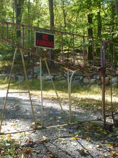Man, 24, Charged After Dog Bites Hiker At Turkey Mountain Park In Yorktown