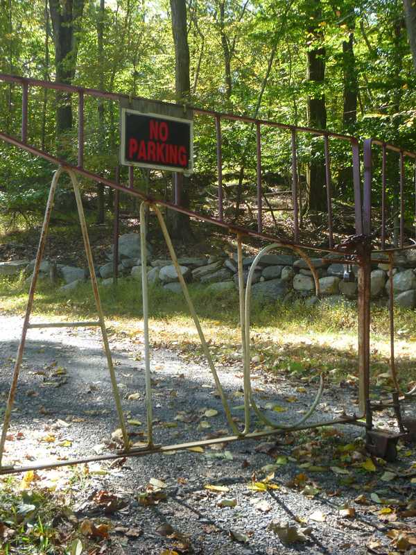 Man, 24, Charged After Dog Bites Hiker At Turkey Mountain Park In Yorktown