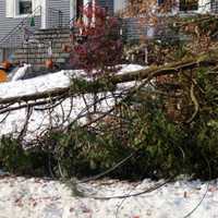 <p>Mount Pleasant was left with many downed trees and wires after a surprise October snowstorm last year.</p>