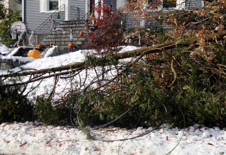 Mount Pleasant was left with many downed trees and wires after a surprise October snowstorm last year.