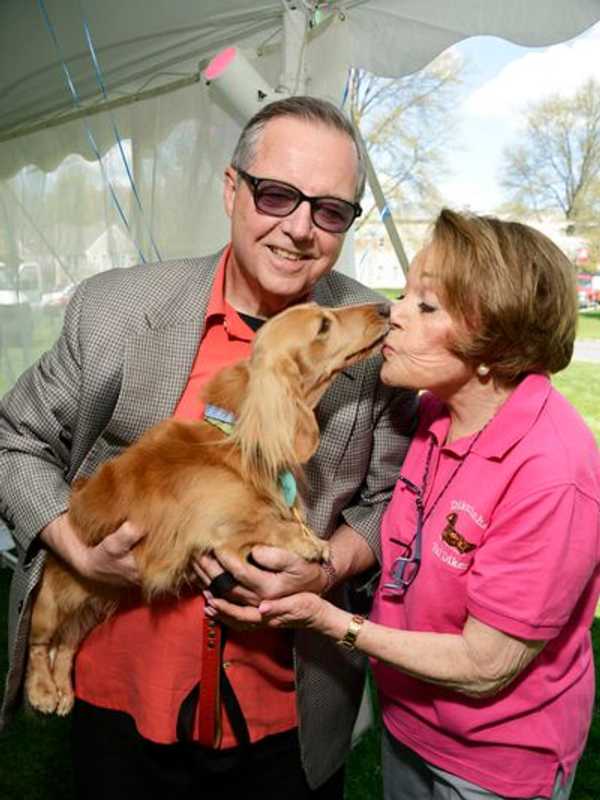 Rye Breeder Prides Herself On Creating Loving Dachshund Families