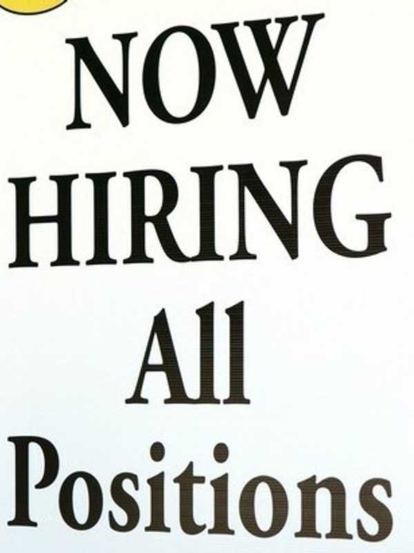 Sales Executive Job Open In Westchester