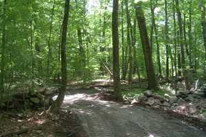 NVRT Holds Groundbreaking, Work Day At Trail in Wilton 