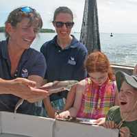 <p>The Maritime Aquarium at Norwalk offers study cruises on its new R/V Spirit of the Sound.</p>