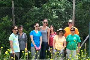 Westchester Land Trust Seeking Volunteers