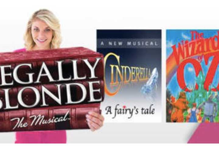 New Canaan's Summer Theatre Features Broadway Hit 'Legally Blonde'