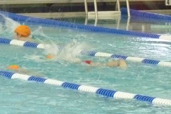 White Plains' Gardella Pool Opening For Summer