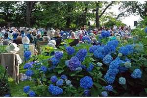 Friends Of Greenwich Point Launches Summer Concert Series