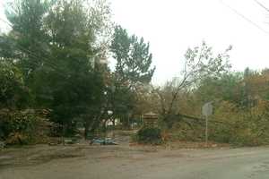 Darien Clears Roads To Help With Power Restoration