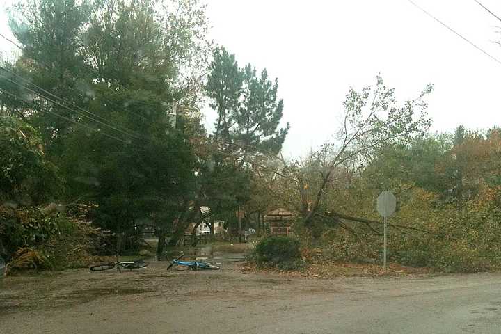 Darien Clears Roads To Help With Power Restoration
