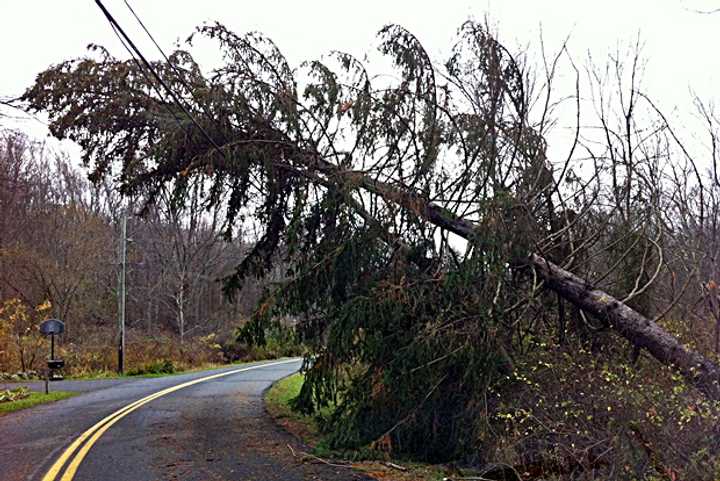 Trees on wires like this one, on Wilton Road East in Ridgefield, can be dangerous. The town urges residents to take caution when driving with downed trees and wires.