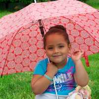 <p>A small girl watches the parade from under her umbrella.</p>