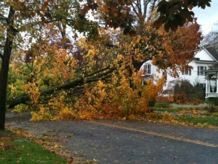 A downed tree blocks Deer Hill Avenue in Danbury, following Hurricane Sandy.