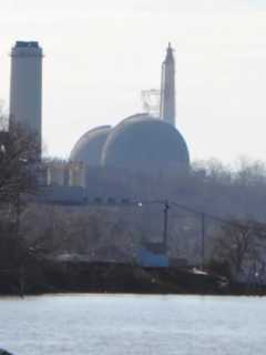 Bird 'Streaming' Possibly Caused Indian Point Shutdown