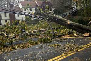 Darien To Hold Town Hall On Hurricane Sandy Friday