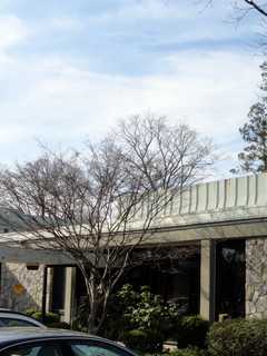 Mount Pleasant Public Library Offers Narcan Training