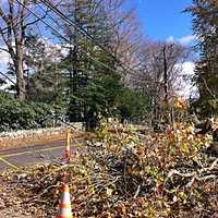 <p>The size of the downed trees and downed wires are the biggest concern in getting the power restored in Ridgefield, said First Selectman Rudy Marconi.</p>